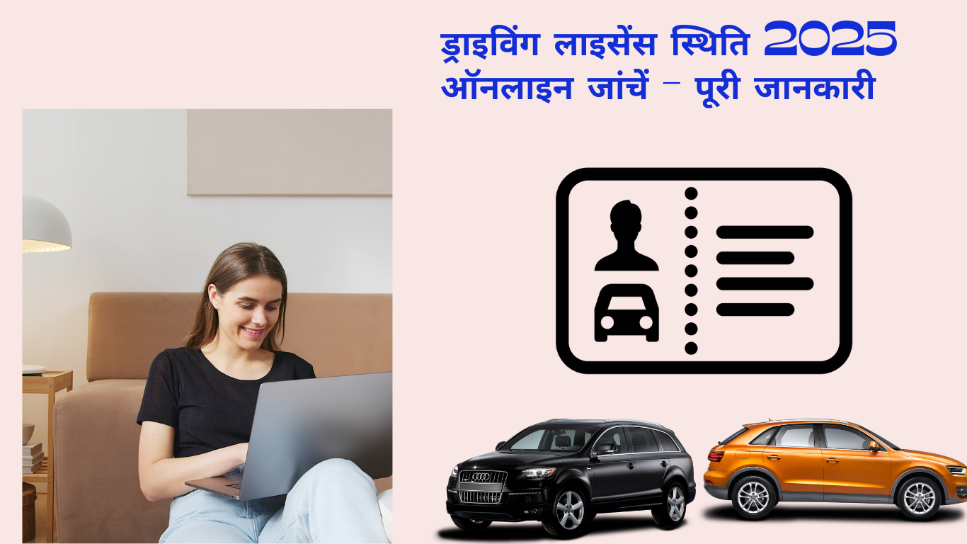 how to check status of driving license